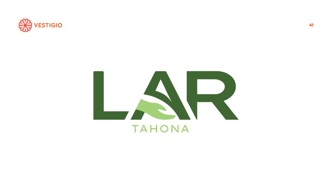 Presentación tesis LAR — 41/55